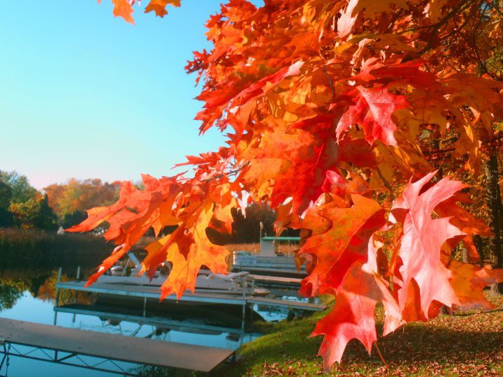 FALL IS HERE! THERE IS STILL A LOT GOING ON AT LAKE MILLE LACS